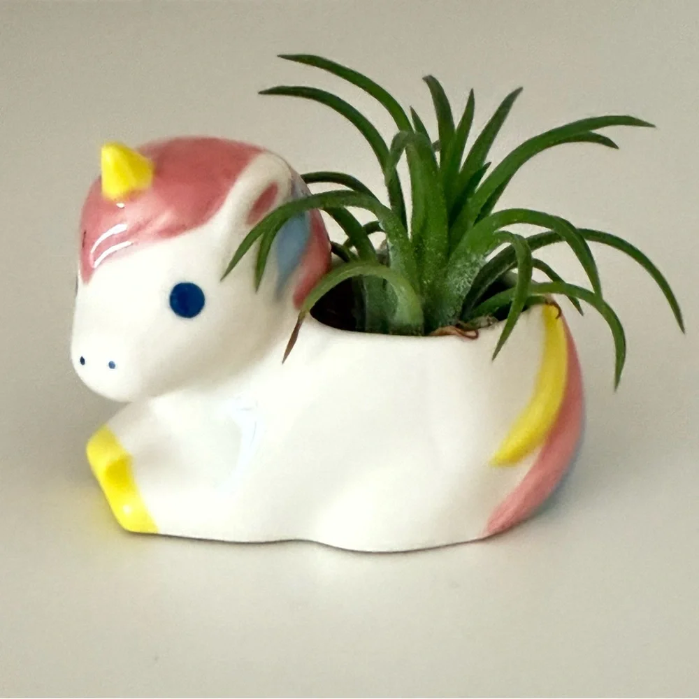 Mini Unicorn Planters